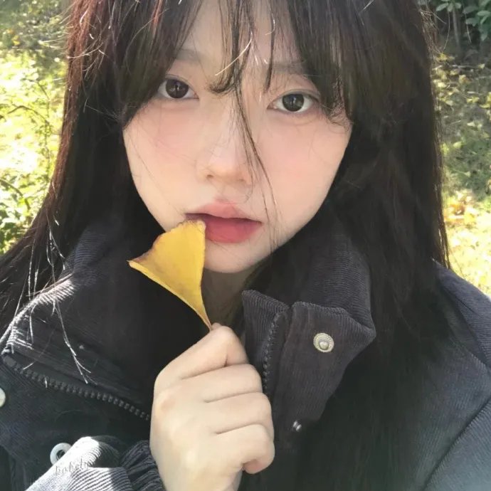 森林之境