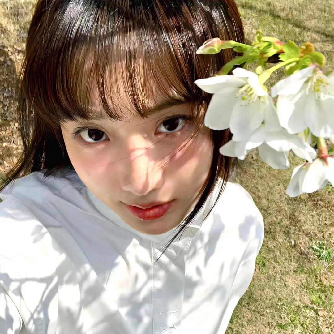 小绿和小蓝第五季